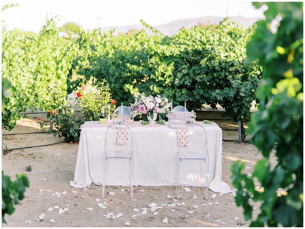 Danza winery proposal picnic setup in purples and creams beautiful picnic setup in the vines